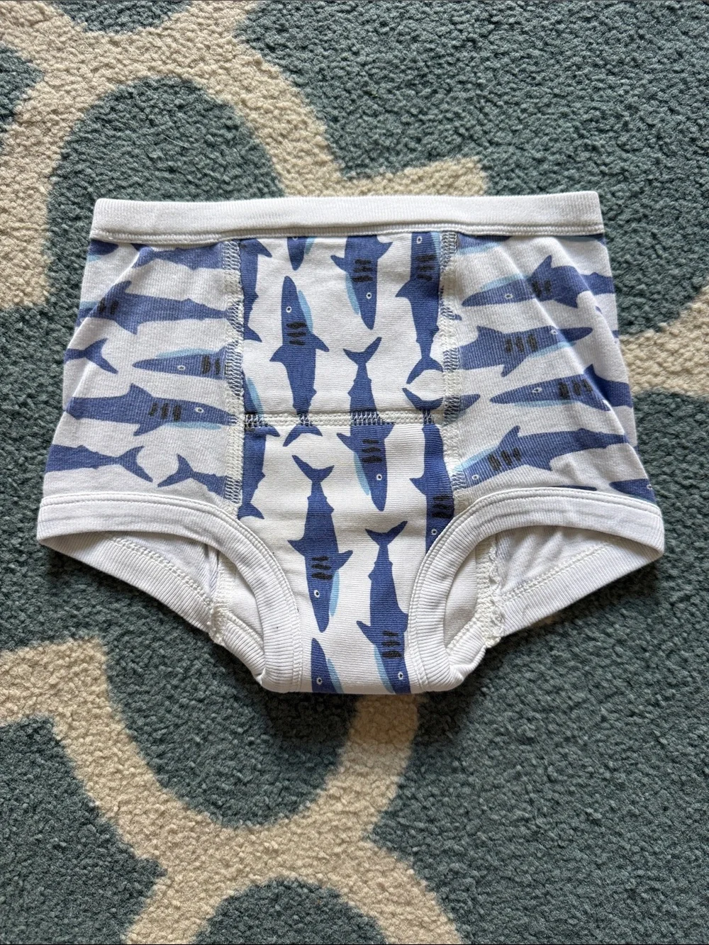Hanna Andersson Boys Training Briefs Bundle